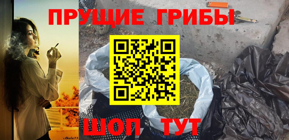 Псилоцибиновые грибы Magic Shrooms Вязники