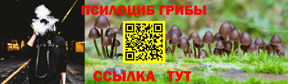 Псилоцибиновые грибы GOLDEN TEACHER  где купить наркоту  Вход с VPN  Вязники  Галлюциногенные грибы Psilocybine cubensis 